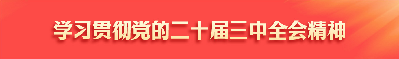 学习贯彻党的二十届三中全会精神