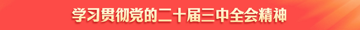 学习贯彻党的二十届三中全会精神