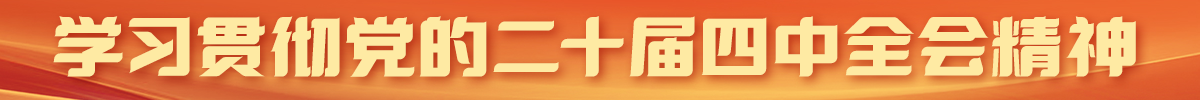 学习贯彻党的二十届四中全会精神